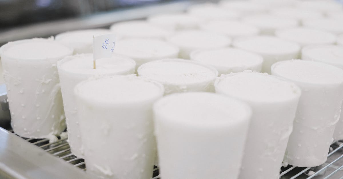 Roundup of top absorption refrigeration solutions for perishable goods