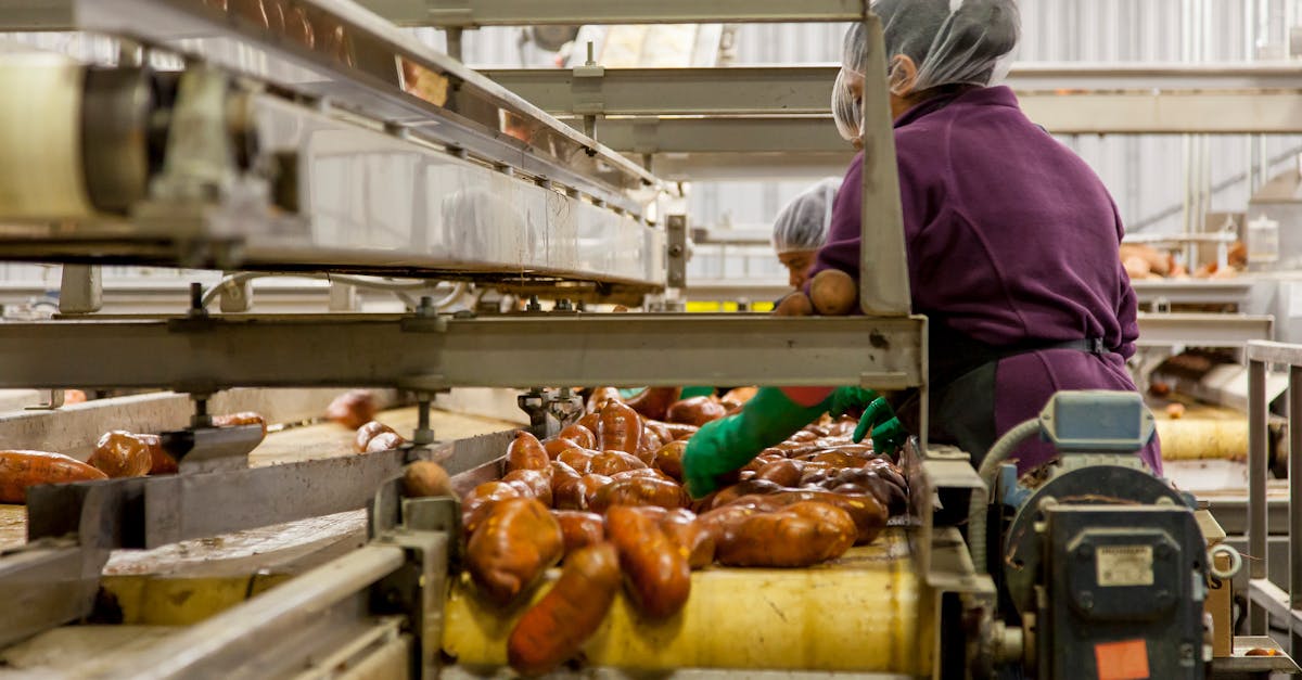 The Historical Development of Cooling Technologies in Food Production