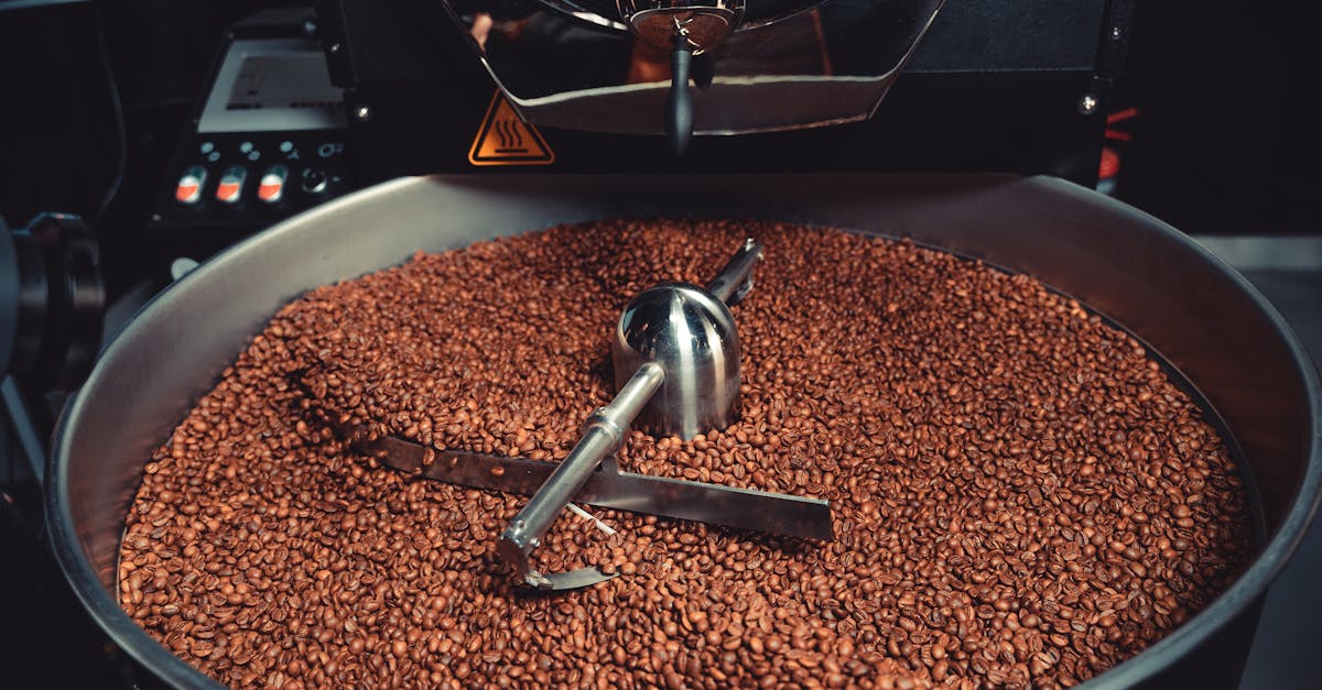 What to consider when implementing absorption refrigeration in food processing