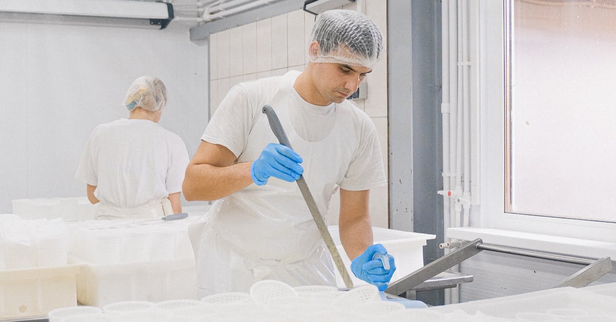 What to Look for in Energy Efficient Refrigeration Solutions for Food Safety